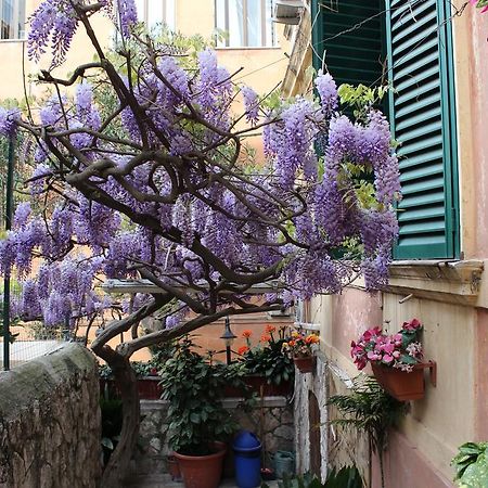 Hotel Pavia Rome Extérieur photo