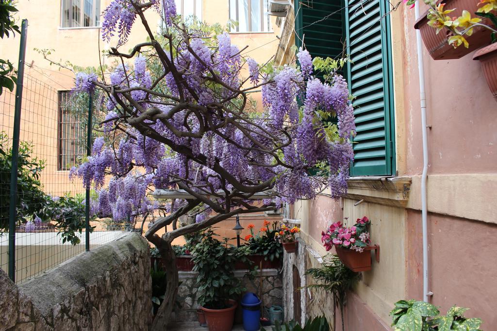 Hotel Pavia Rome Extérieur photo