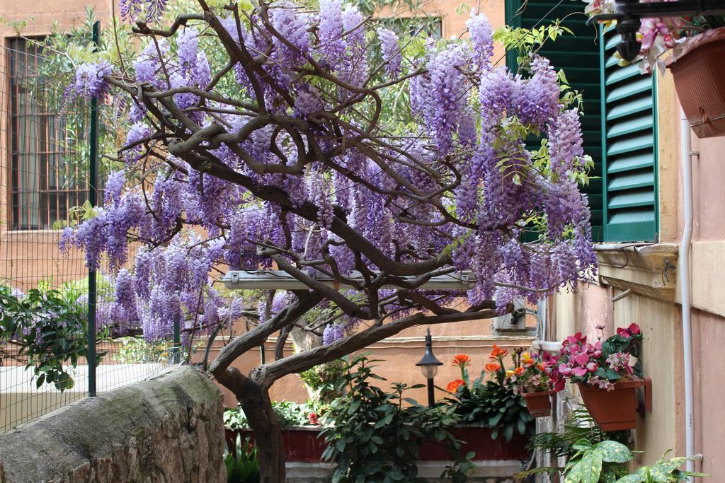 Hotel Pavia Rome Extérieur photo